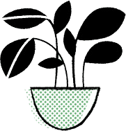 Potted plant illustration