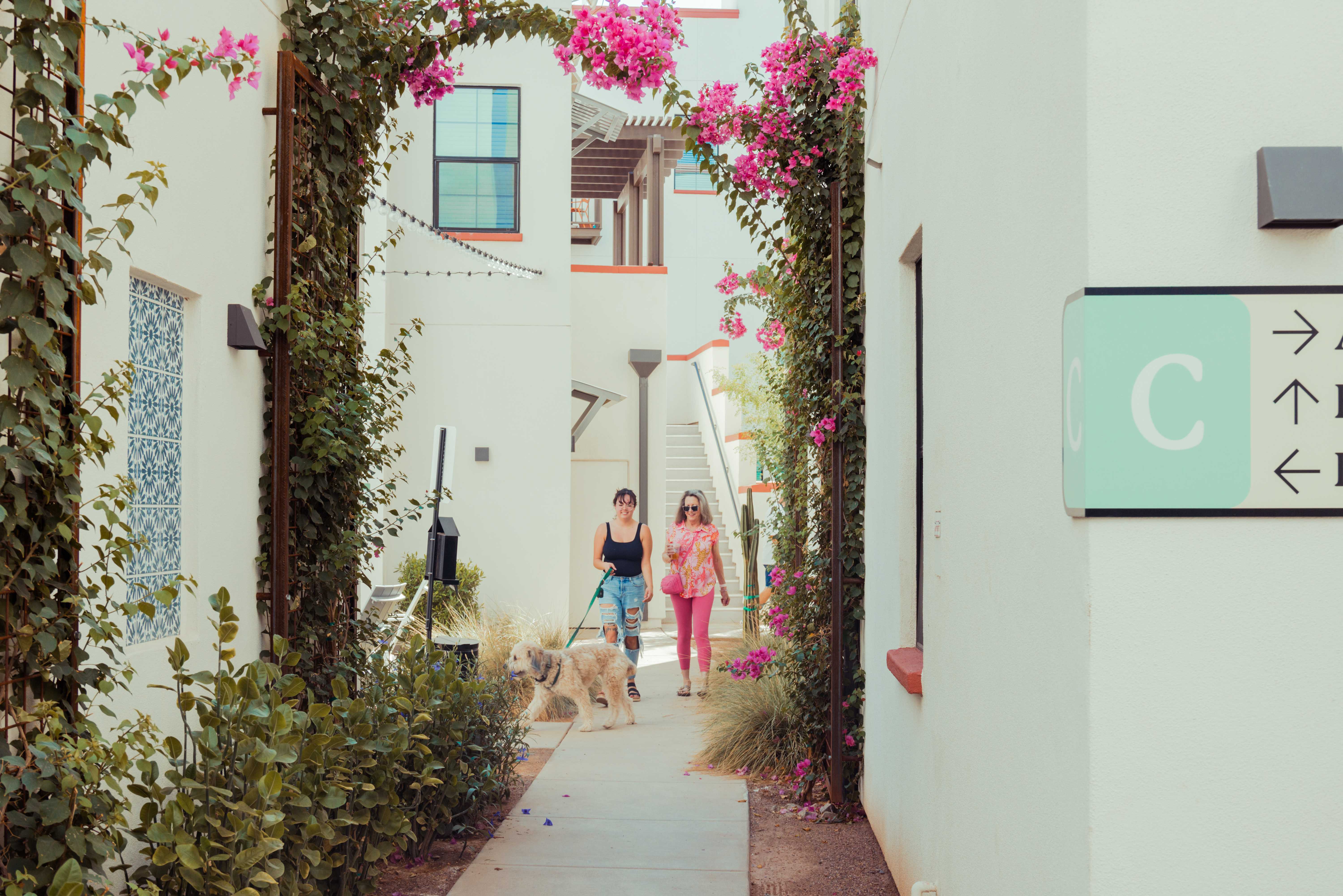 Two women walking a dog through the neighborhood